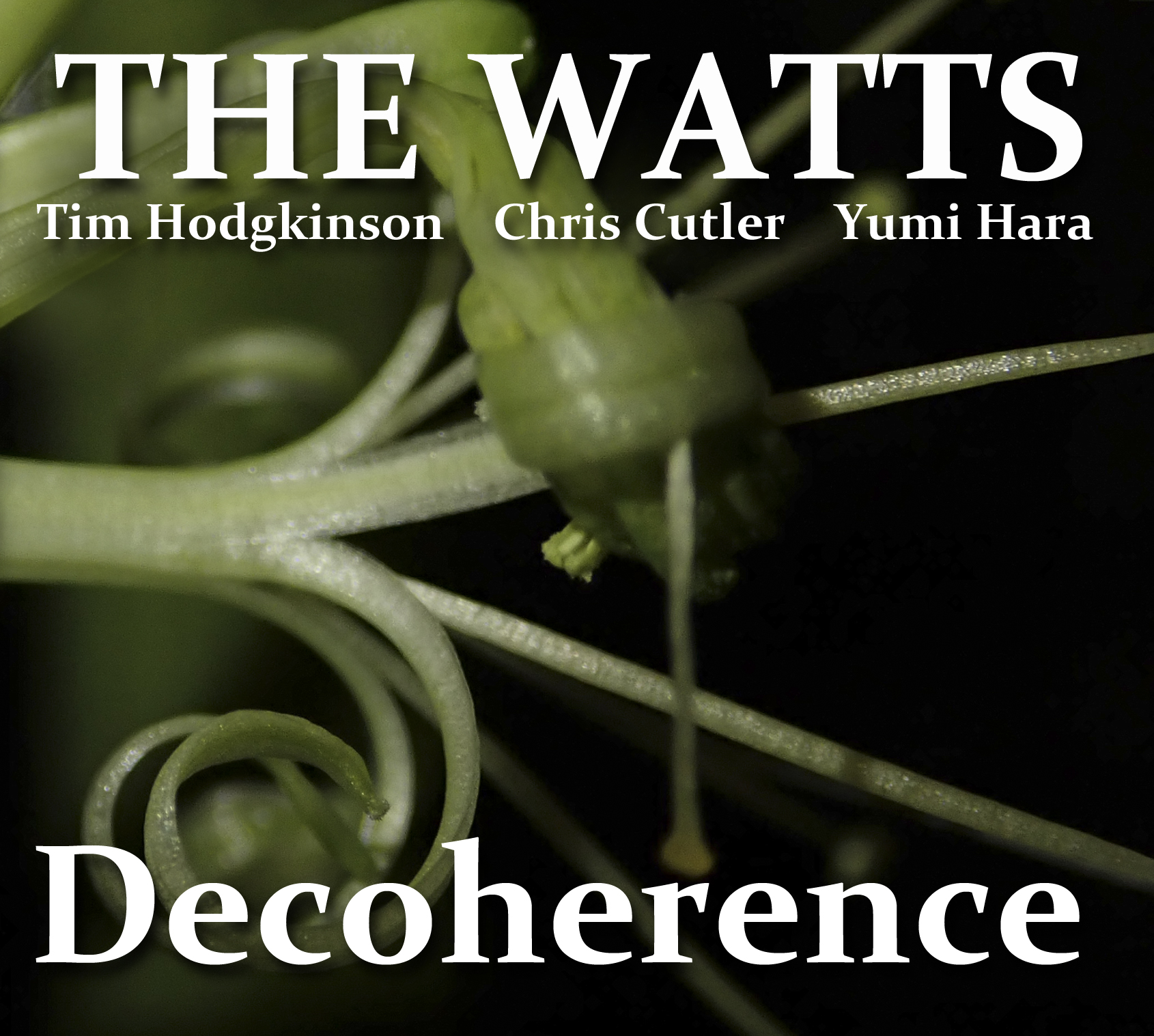 THE WATTS Decoherence